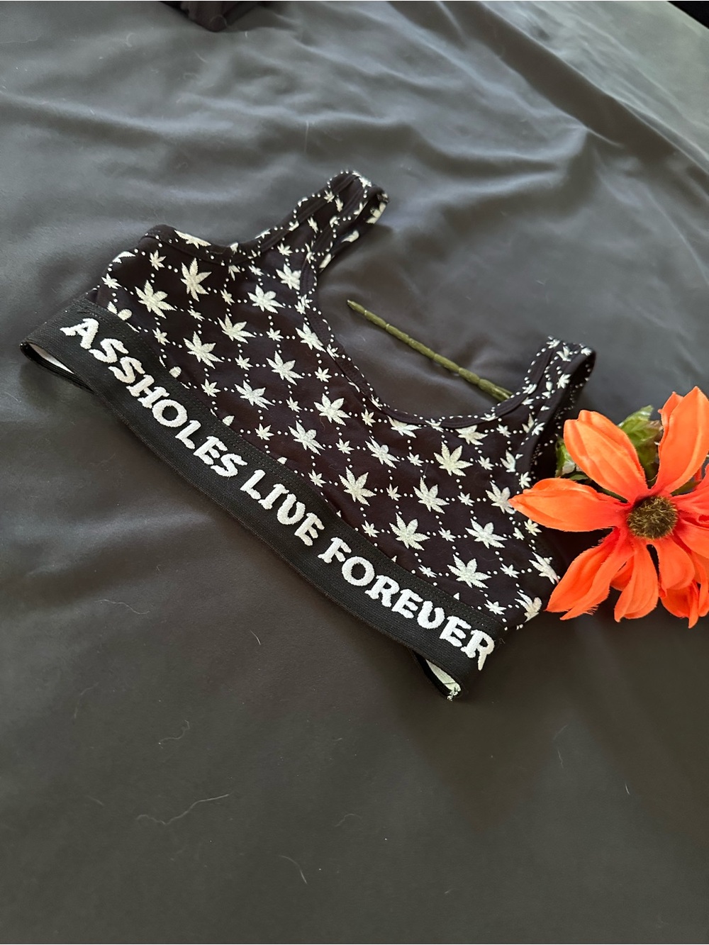 Assholes Live Forever- ALF Sports bra NWOT!!!